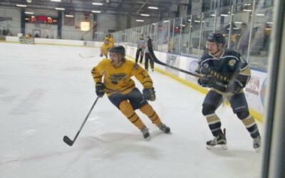 Jr. Blues Fall to Janesville
