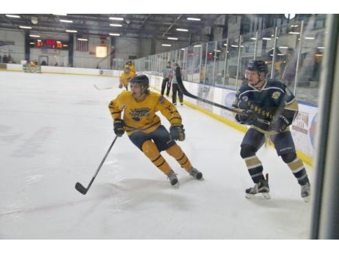 Jr. Blues Fall to Janesville