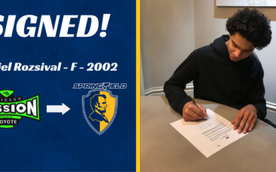 Jr. Blues Sign Rozsival to Tender