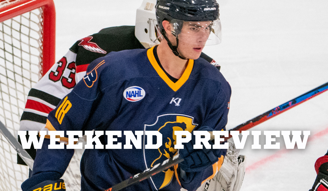 Jr. Blues Host Ice Dogs to Open Second Half