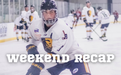 Jr. Blues Stop Skid, Split with Wilderness