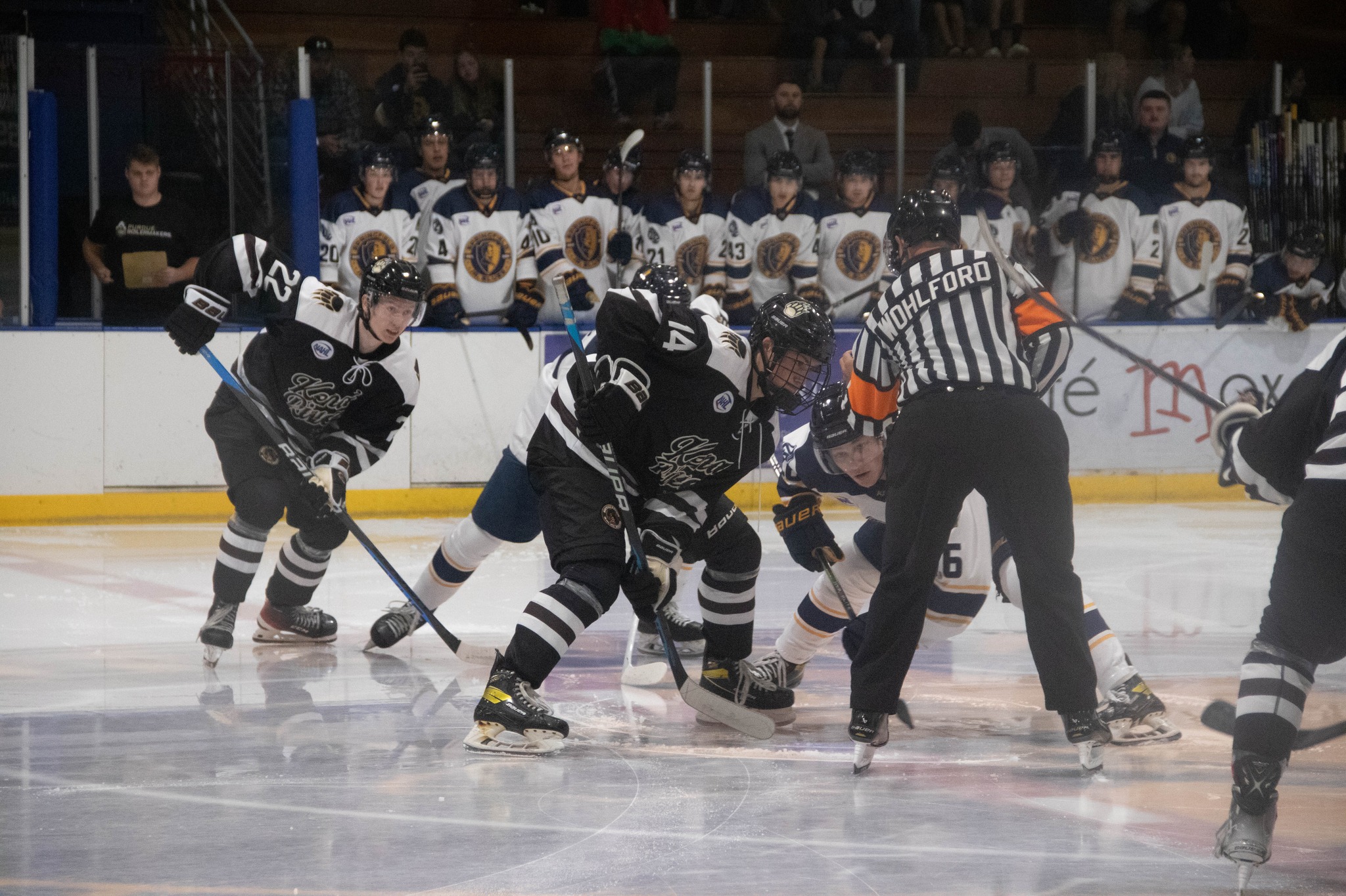 397897037_940819697398060_309069653325698599_n