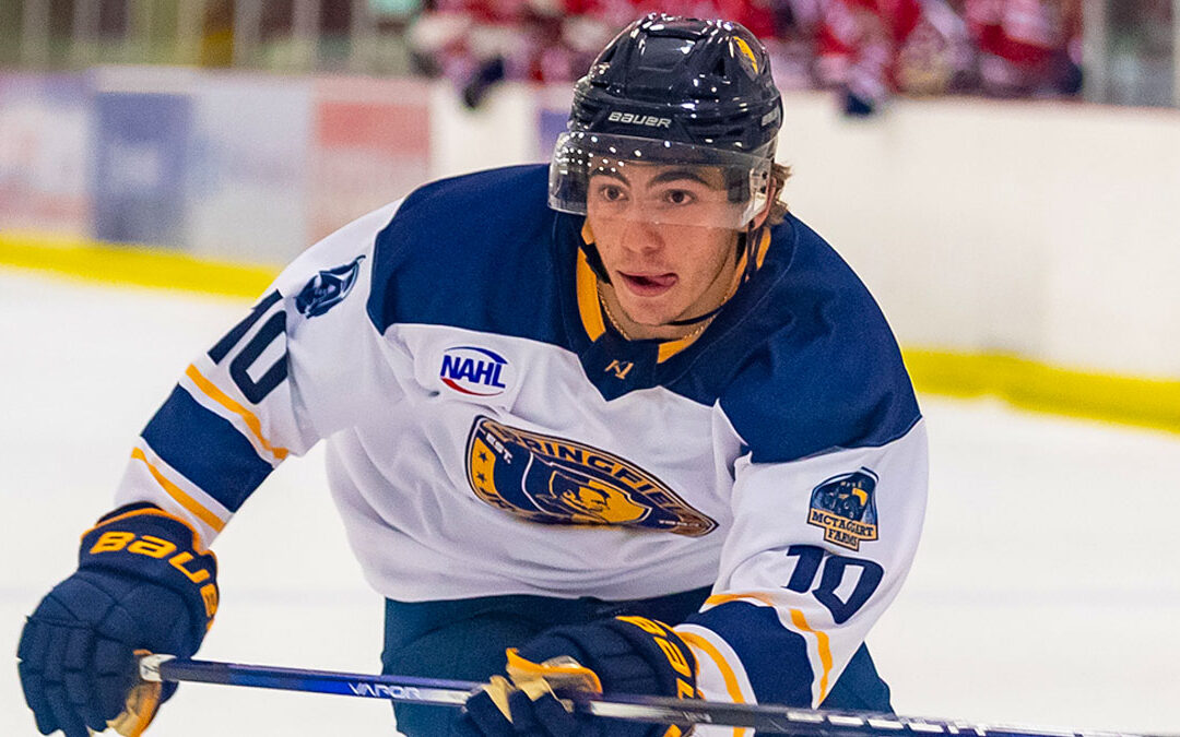 Jr. Blues Split the Weekend